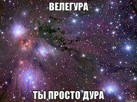 велегура ты просто дура