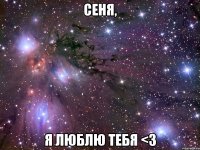 сеня, я люблю тебя <з