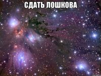 сдать лошкова 