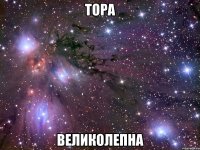 тора великолепна