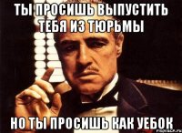 ты просишь выпустить тебя из тюрьмы но ты просишь как уебок