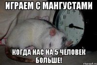 играем с мангустами когда нас на 5 человек больше!