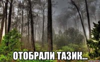  отобрали тазик...