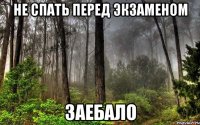 не спать перед экзаменом заебало