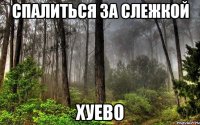 спалиться за слежкой хуево