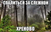 спалиться за слежкой хреново