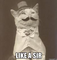  like a sir