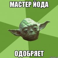 мастер йода одобряет