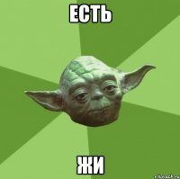 есть жи