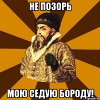 не позорь мою седую бороду!