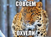 совсем охуели