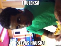 luuleksä olevas hauska