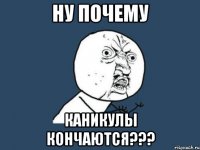 ну почему каникулы кончаются???