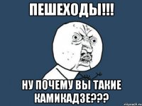 пешеходы!!! ну почему вы такие камикадзе???