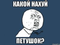 какой нахуй петушок?