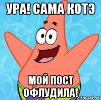 ура! сама котэ мой пост офлудила!