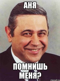 аня помнишь меня?