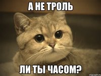 а не троль ли ты часом?