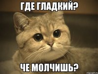 где гладкий? че молчишь?