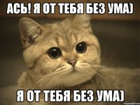 ась! я от тебя без ума) я от тебя без ума)