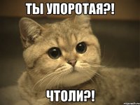 ты упоротая?! чтоли?!