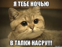 я тебе ночью в тапки насру!!!