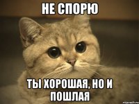 не спорю ты хорошая, но и пошлая