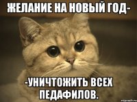 желание на новый год- -уничтожить всех педафилов.