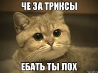 че за триксы ебать ты лох