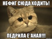 нефиг сюда ходить! педрила е*аная!!!