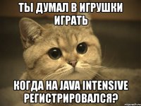 ты думал в игрушки играть когда на java intensive регистрировался?