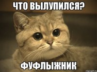 что вылупился? фуфлыжник