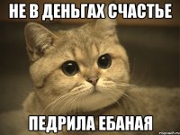 не в деньгах счастье педрила ебаная