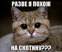 разве я похож на скотину???