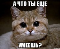 а что ты еще умеешь?