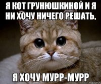 я кот грунюшкиной и я ни хочу ничего решать, я хочу мурр-мурр