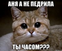 аня а не педрила ты часом???