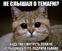 не слышал о temafm? буду так смотреть пока не услышишь!!! p.s. педрила ебаная