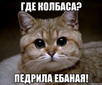 где колбаса? педрила ебаная!