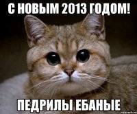 с новым 2013 годом! педрилы ебаные