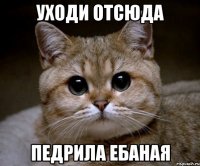 уходи отсюда педрила ебаная