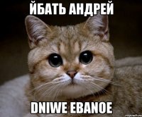 йбать андрей dniwe ebanoe