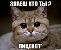 знаеш кто ты ? лицеист*