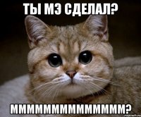 ты мэ сделал? мммммммммммммм?