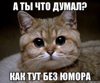 а ты что думал? как тут без юмора