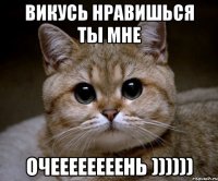 викусь нравишься ты мне очеееееееень ))))))