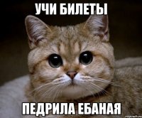 учи билеты педрила ебаная