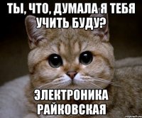 ты, что, думала я тебя учить буду? электроника райковская