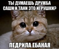 ты думаешь дружба саши и тани это игрушки? педрила ебаная