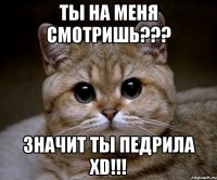 ты на меня смотришь??? значит ты педрила xd!!!